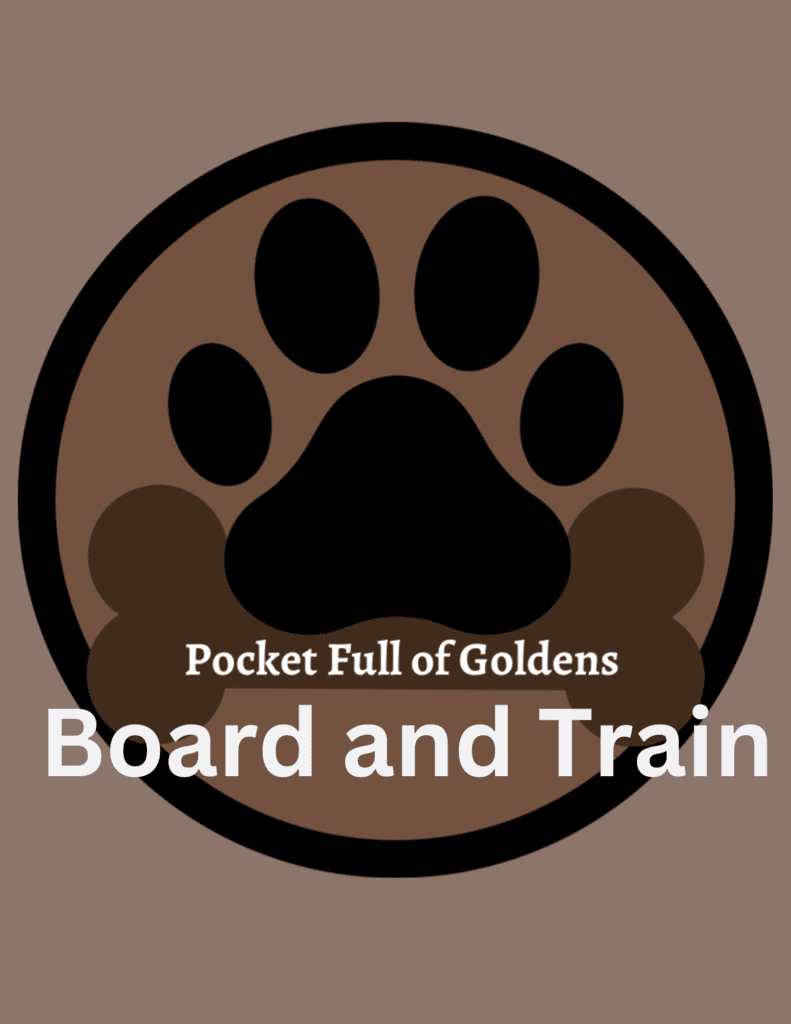 Board and Train